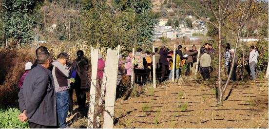 1576827998286591.png image.png