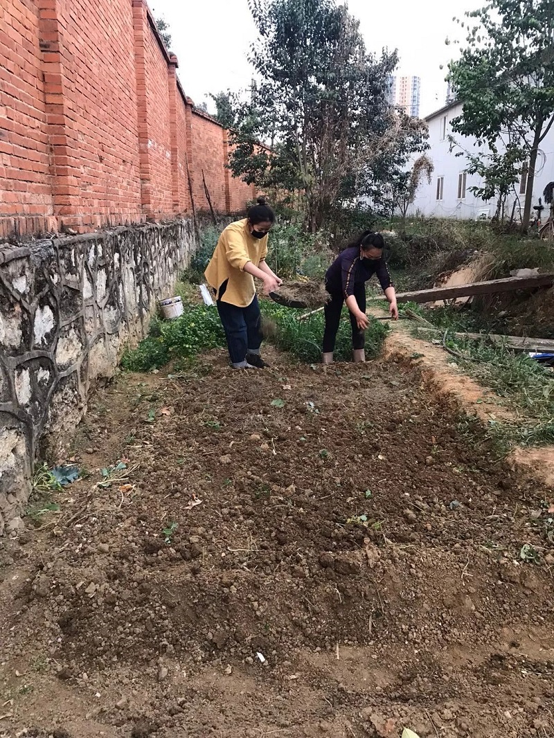 1584931854129267.jpg 3.jpg